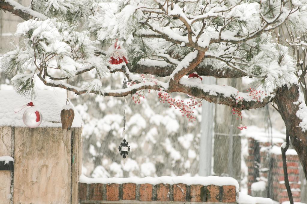 Cindy'S B&B โซล ภายนอก รูปภาพ